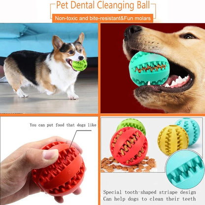 Interactive Treat Dispensing Dog Ball