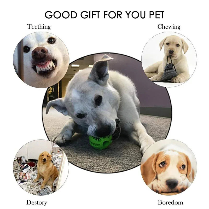 Interactive Treat Dispensing Dog Ball