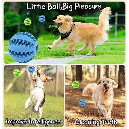 Interactive Treat Dispensing Dog Ball